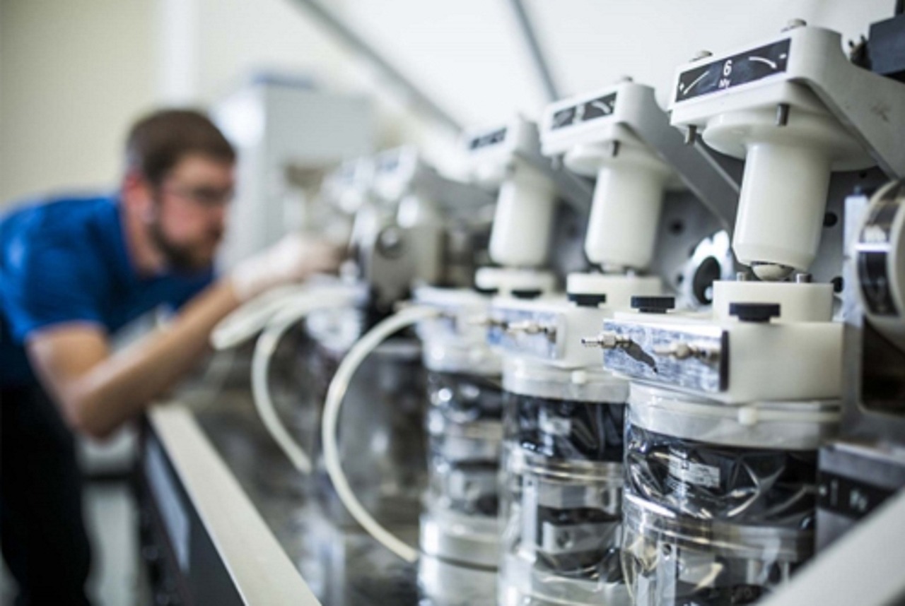 statistici despre juri cisotti